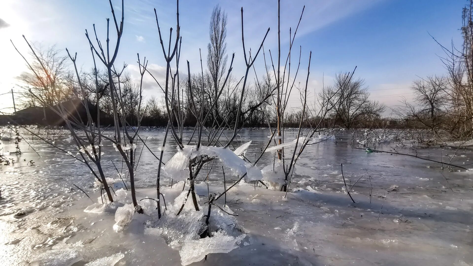 Погода на дону в феврале. Разлив Дона. Низовка на Дону. Разлив Дона 2022 в Азове. Дон февраль.