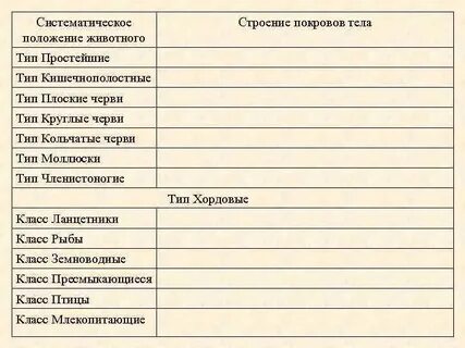 Положение животных
