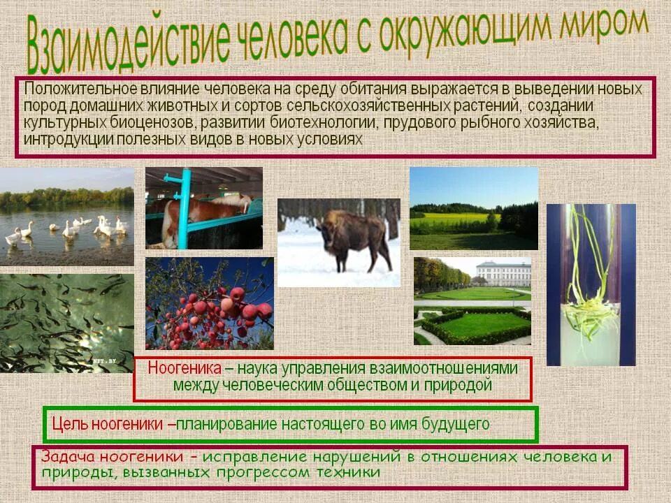 Люди территории среда обитания. Влияние среды обитания. воздействте человека на срежк обттач. экологическое влияние человека на животных. влияние человека на среду обитания.