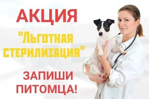 Льготная стерилизация