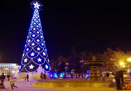 Ели иркутск