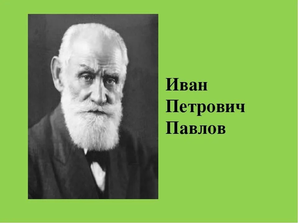 Великий физиолог и.п. Павлов. И.П. Павлов— русский физиолог.