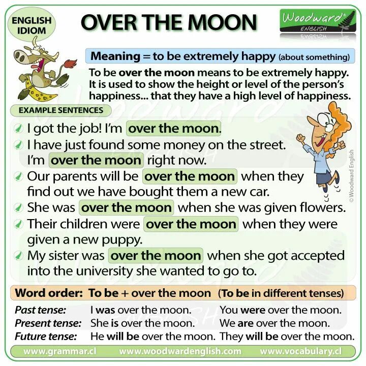 Moon idioms. Идиомы с the Moon. Idioms in English. Over the Moon идиома. Woodward English idioms.