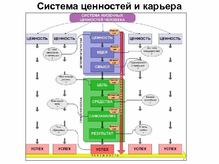 Система жизненных смыслов