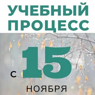 Xv ноября