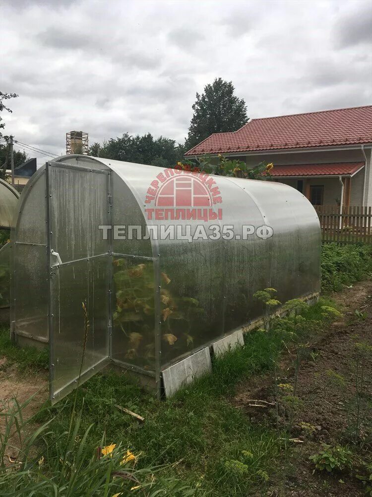 Теплица капелька 3х4 усиленная. Парник череповец. Череповецкие теплицы вологда. Череповец теплицы из поликарбоната ясная поляна. Галерея теплиц череповец.