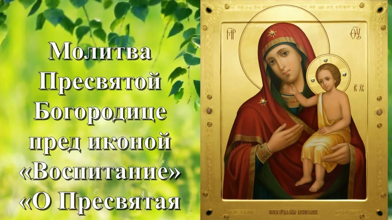Икона божией матери воспитание казанский собор. День памяти иконы божией матери воспитание 18 марта. Акафист иконе божией матери воспитание. Акафист божией матери воспитание. Акафист пресвятой богородице воспитание.