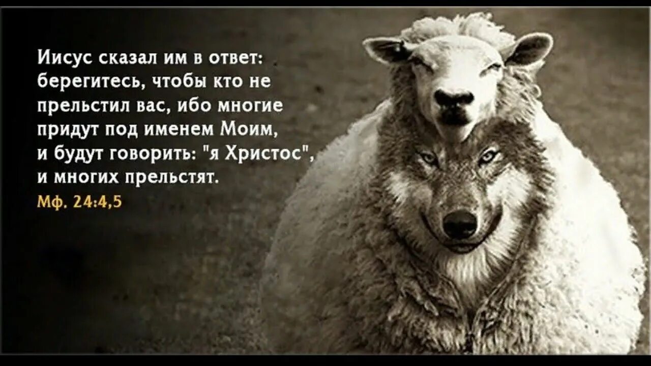 И восстанут многие лжепророки. Берегитесь чтобы кто не прельстил вас. Ибо многие придут под именем моим. Господь подкрепляет душу мою. Многие приходят смотрят смотрят