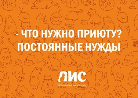 Лис приют для животных