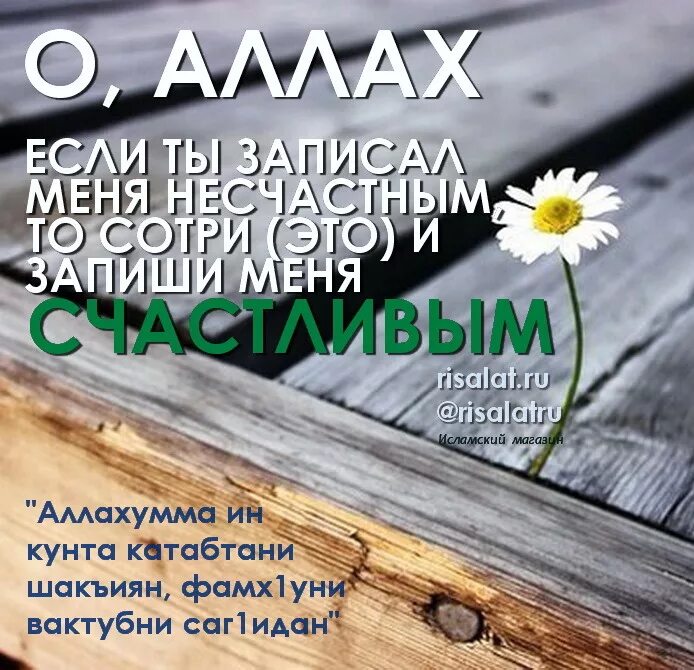 Как не быть несчастным. Если ты записал меня несчастным. если ты записал меня несчастным то сотри.