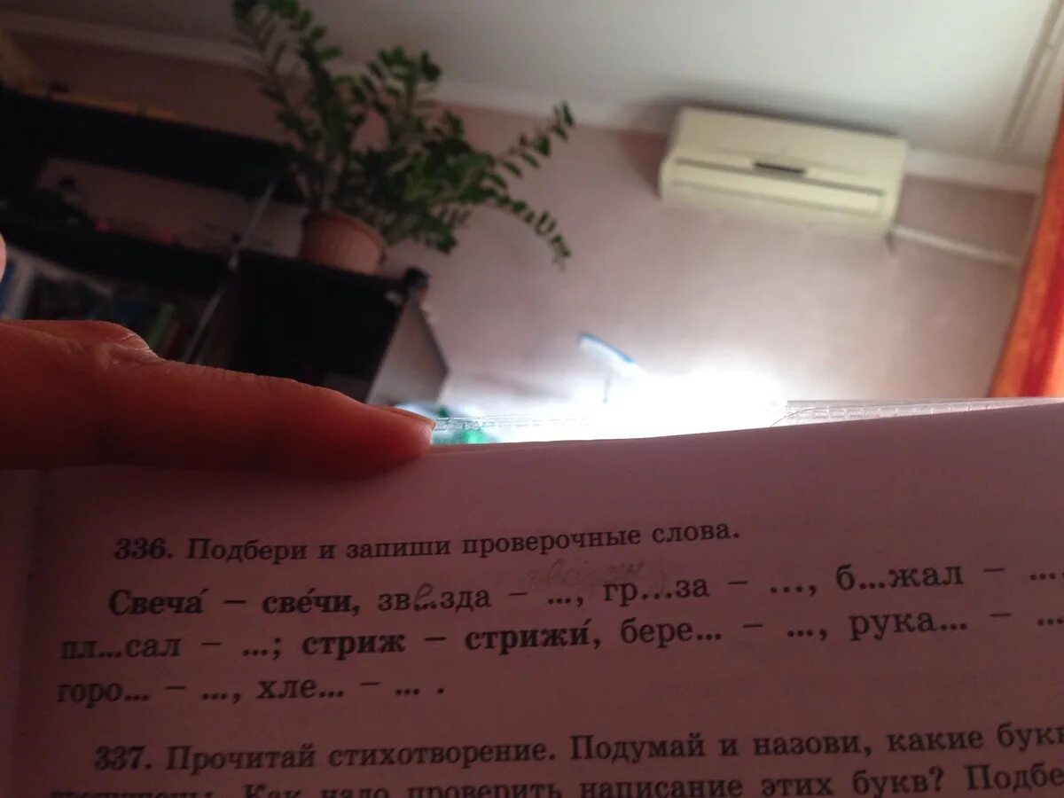 Как пишется слово светит. Проверочное слово к слову свеча. Стрижи проверочное слово. Проверочное слово к слову Стрижи. Свечи свеча проверочное слово.