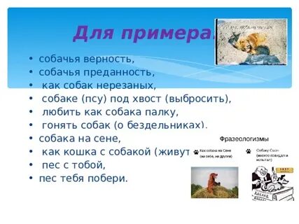 Слово собака в произведениях