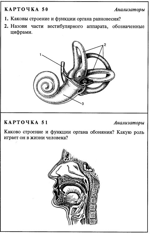 Карточки задания по учебнику биологии 8 класс Сонин. Дидактические карточки по биологии 8 класс. Дидактические карточки по биологии Сонин 8 класс. Задания карточки по анатомии человека. Карточки биология 8 класс