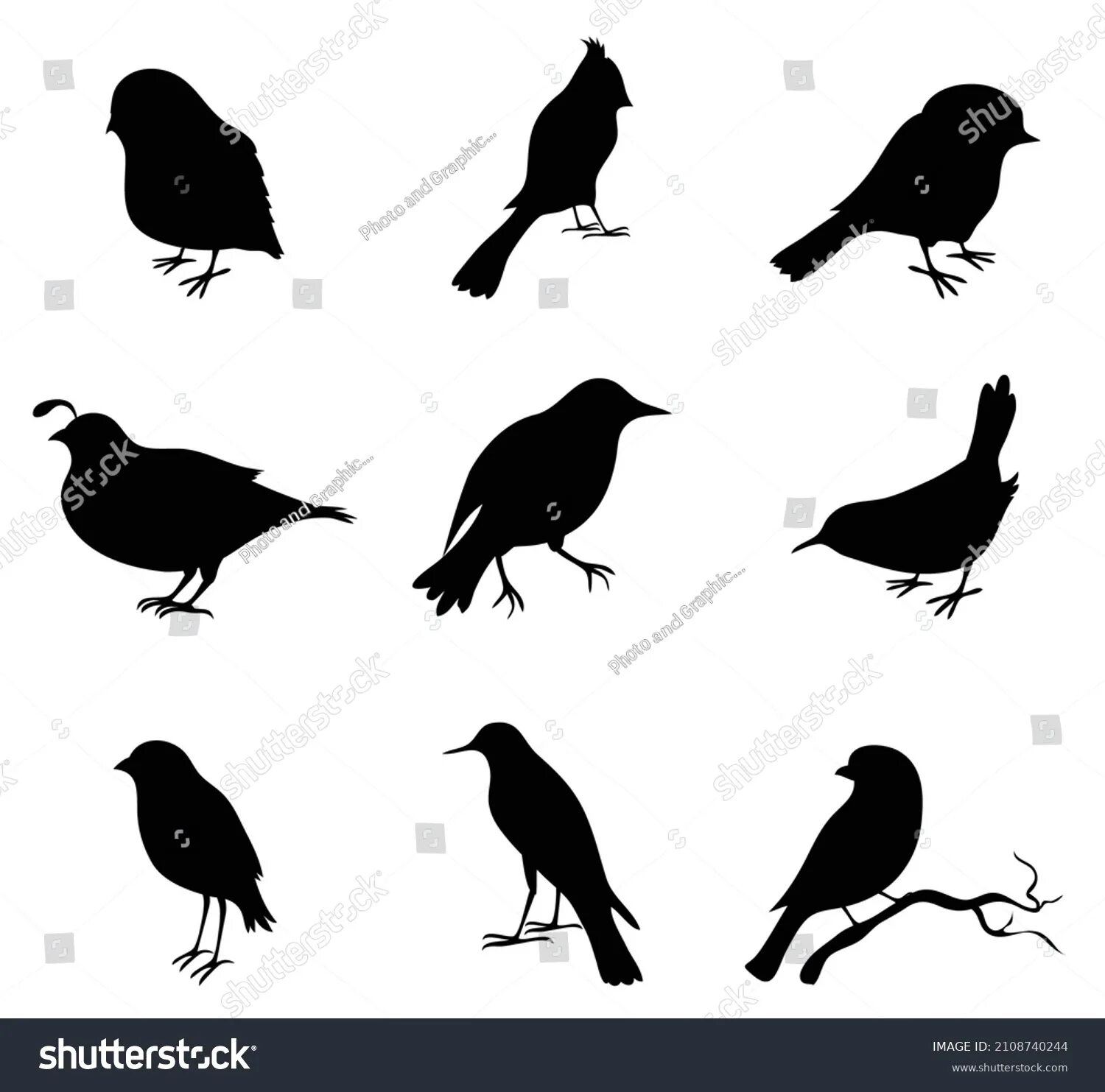 Bird shape