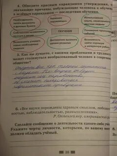 Обществознание мои исследования общества