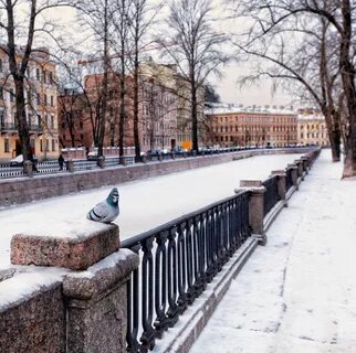 22 января санкт петербург