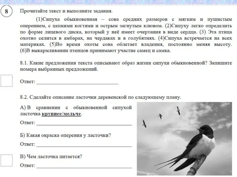 Впр текст про птиц. Проверочная работа по биологии 5 класс ВПР. Прочитайте текст и выполните задания. ВПР птицы. ВПР биология 5 класс.