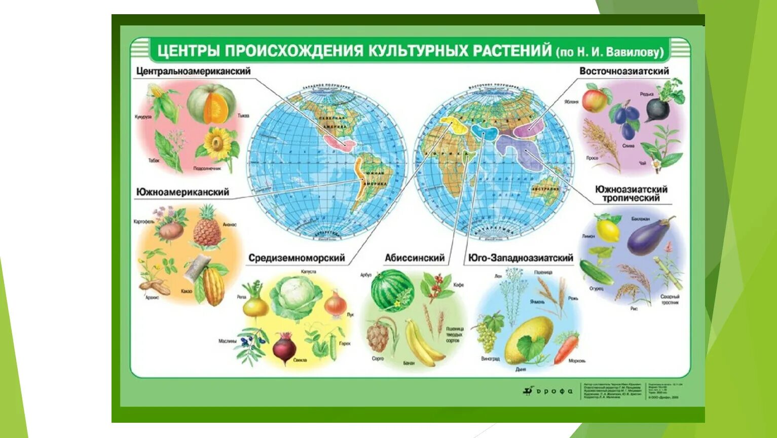 Южноазиатский центр происхождения культурных растений. Средиземноморский центр происхождения культурных растений на карте. Центры происхождения культурных растений по Вавилову карта. Центры происхождения культурных растений н и Вавилова.