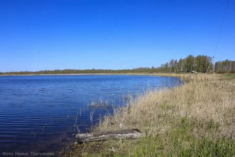 Пески курганская область