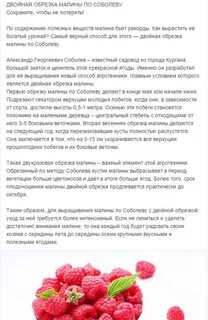 Нужно ли обрезать малиновое дерево