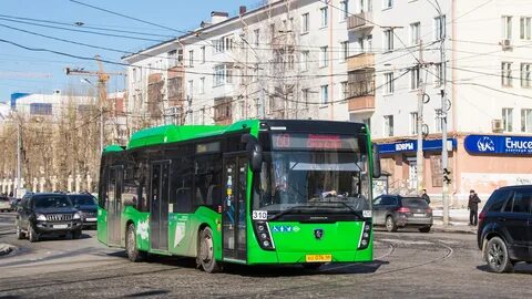 Автобус 310 москва