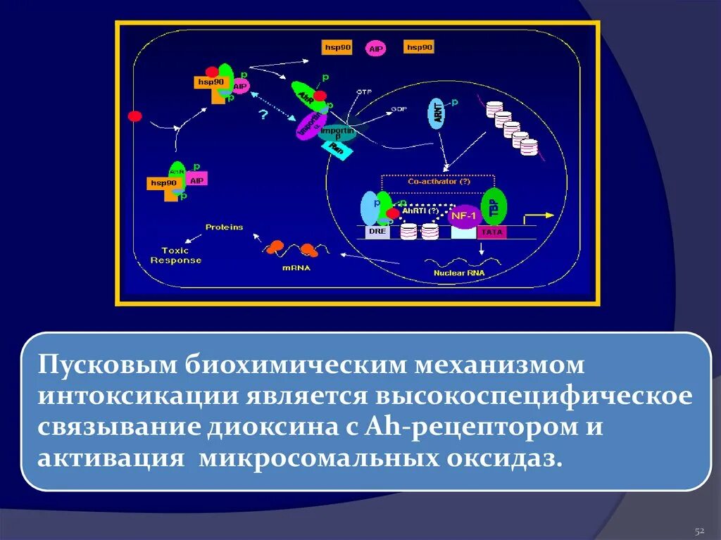 Механизм интоксикации. Виды гипоксии цитотоксическая. Оценка цитотоксической активности методом трипанового синего. Механизм цитотоксического эффекта фото.