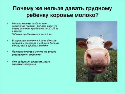 Можно ли детям до года давать молоко