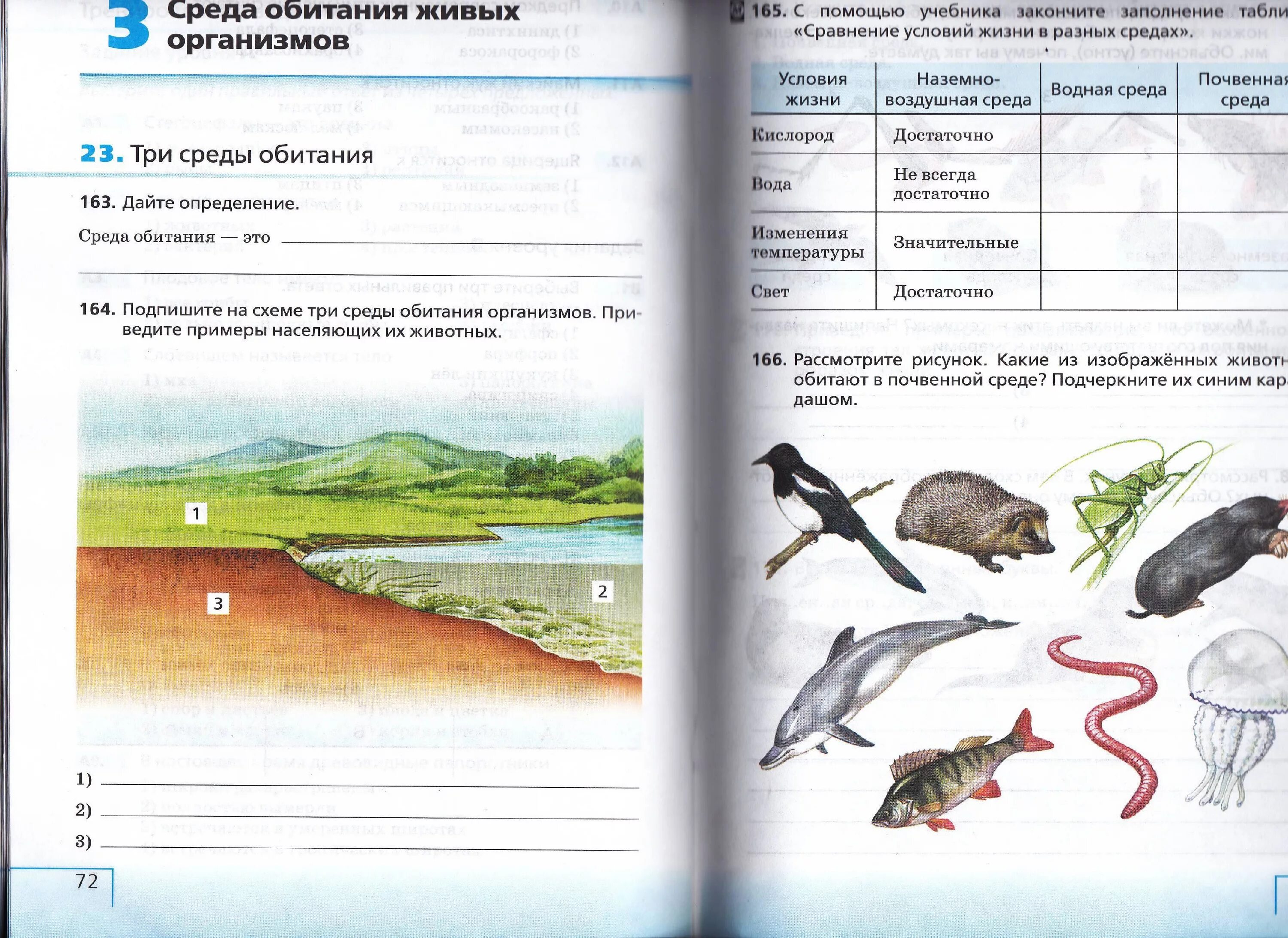 Задания по теме среда обитания. Среды обитания живых организмов. Среды обитания живых организмов 5. Среды обитания организмов 5 класс биология. Среда обитания биология 5.