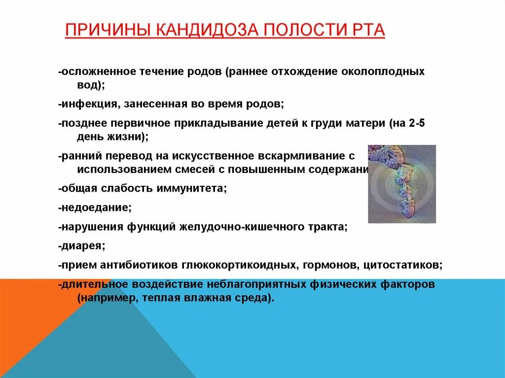 Как передается кандидоз. Как передается кандидоз