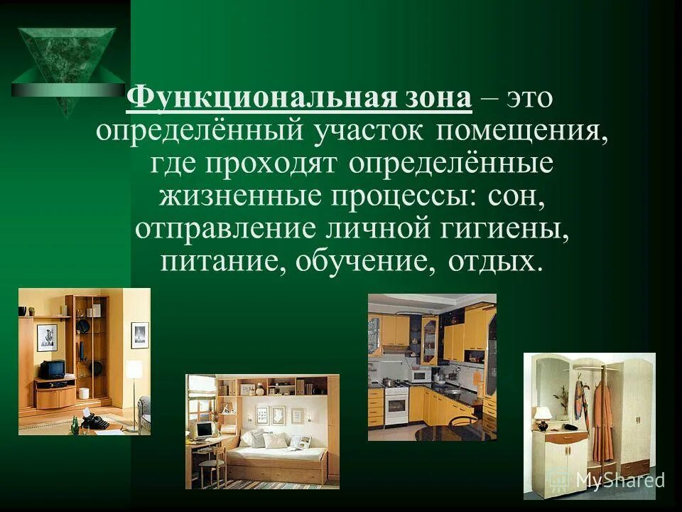 понятие функциональной зоны. функциональное зонирование территории. понятие функциональной зоны. функциональные зоны москвы. парк сокольники функциональное зонирование территории.