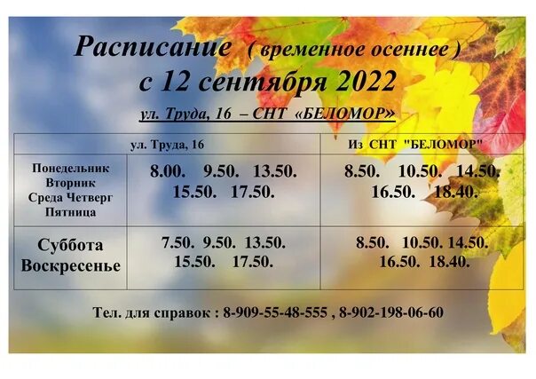 Снт беломор северодвинск. Расписание автобуса СНТ Беломор Северодвинск. СНТ Беломор расписание автобусов. Расписание автобусов в сот Беломор Северодвинск.