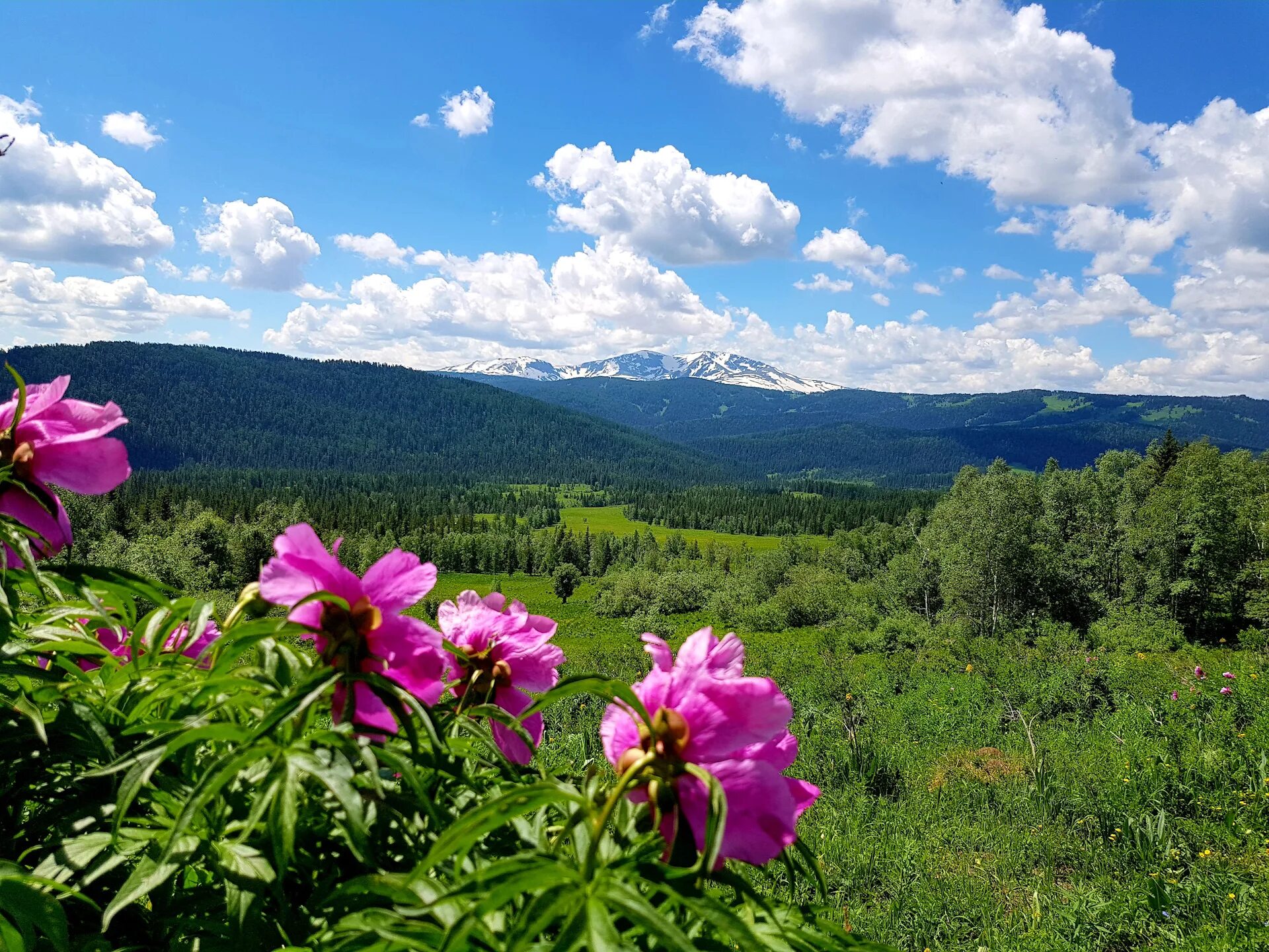 Красно алтайск