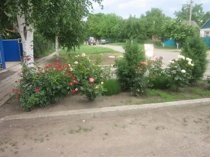 Погода в гулькевичском районе краснодарского