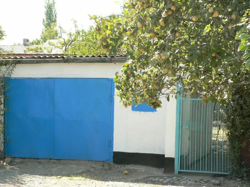 кызыл-кия пятиэтажки. лалафо кызыл кия. кызыл кия киргизия. лалафо кызыл кия. кызыл кыя сити.