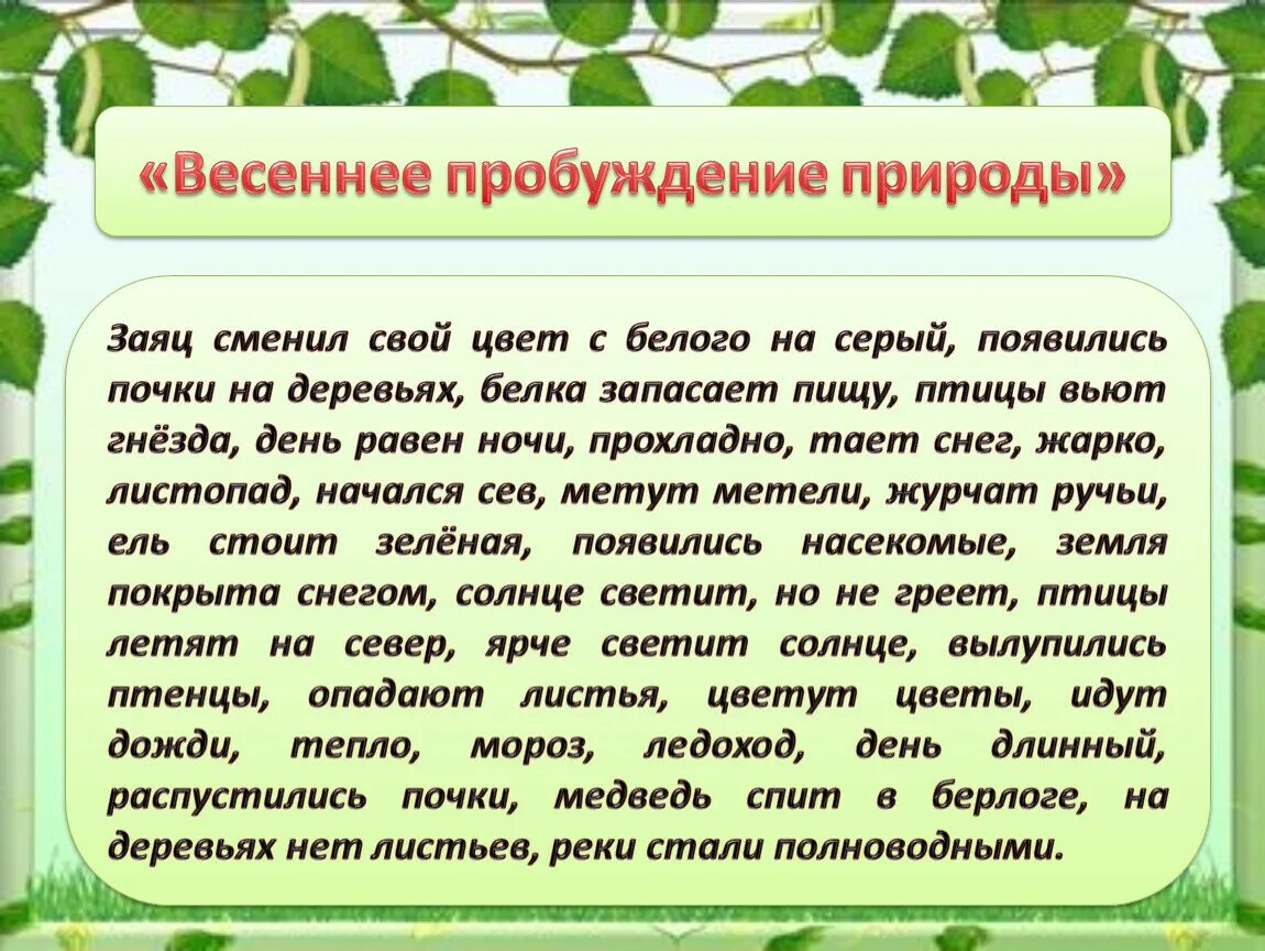 Сочинение на тему Пробуждение природы. Сочинение изменение природы весной. Изменения природы весной рассказ.