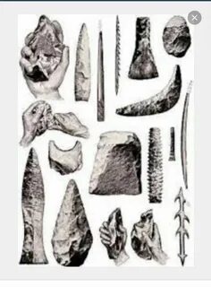 Емізіктердегі ореолдардың фотосы