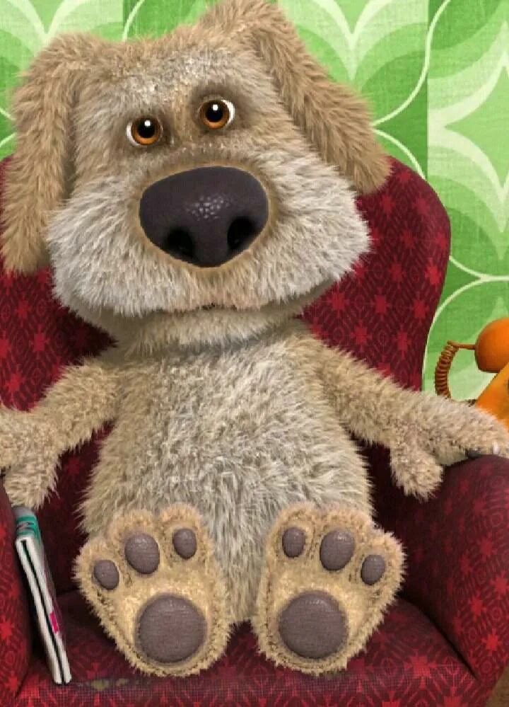 бен собака. игра говорящий пес бен. бен игра говорящий бен. бен игра про собаку. игры говорящая собака бен.