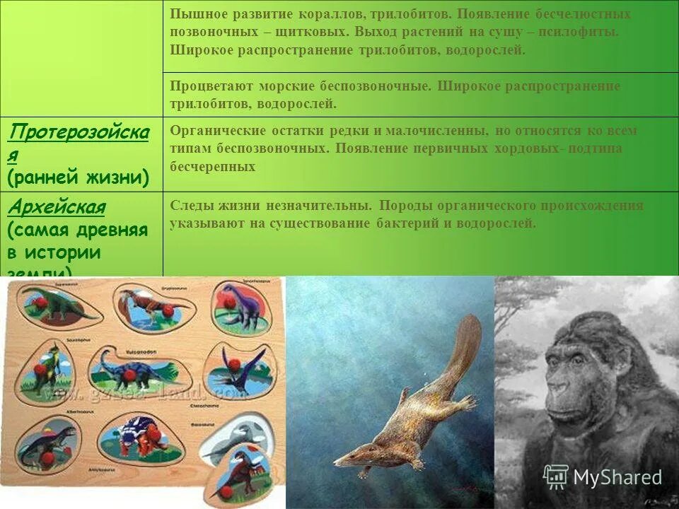 Появление бесчелюстных позвоночных период. Выход беспозвоночных на сушу. Ароморфозы трилобитов. Пышное развитие кораллов и трилобитов. Возникновение беспозвоночных