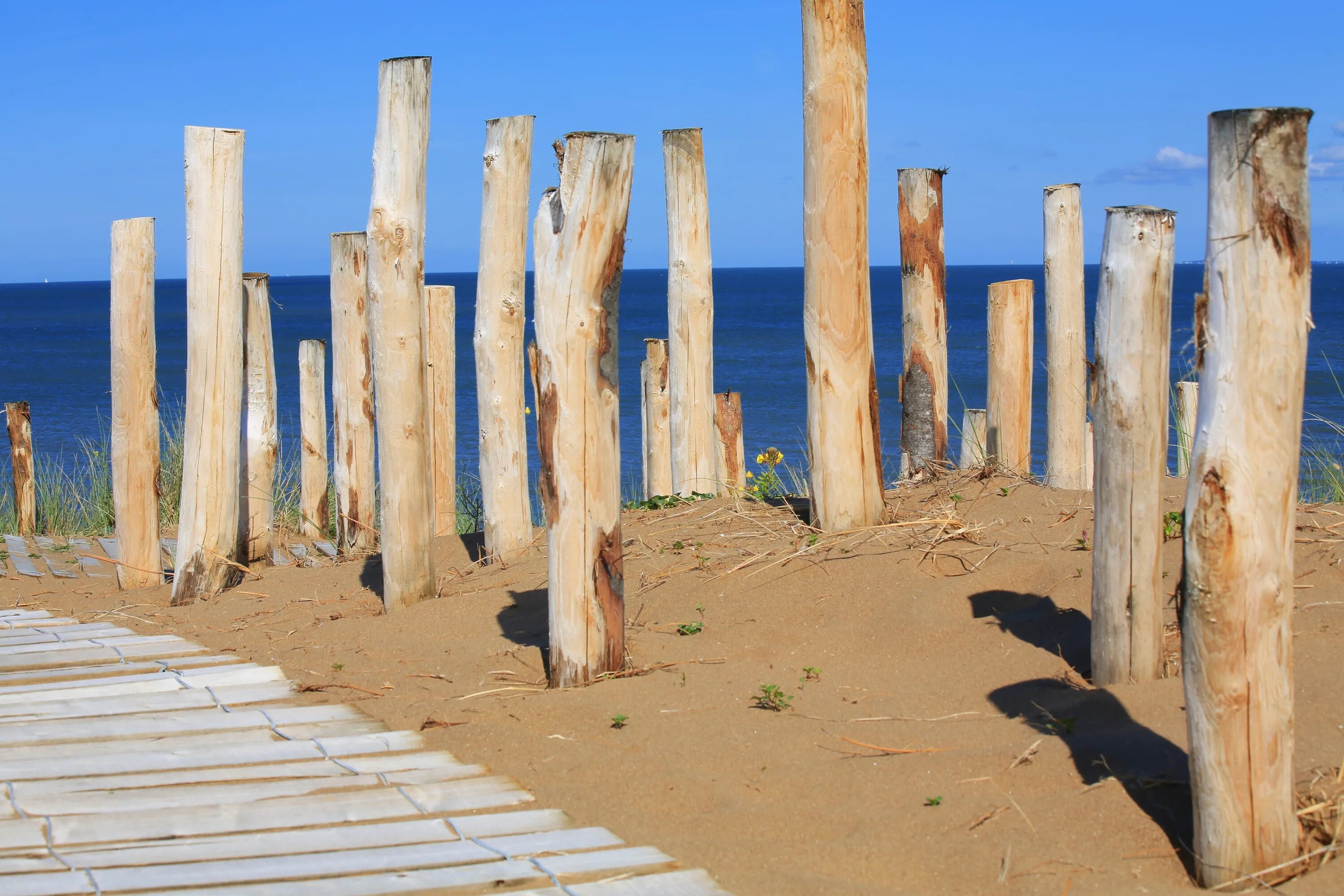 More wooden. Деревянное море. Деревянная дорожка на пляже. Пляж из дерева. Древесина из моря.