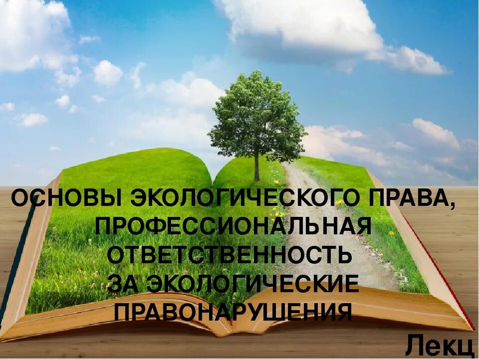 Природное законодательство. Экологическое законодательство. Основы экологического права. Основы экологического права экология. Основы природоохранного законодательства.