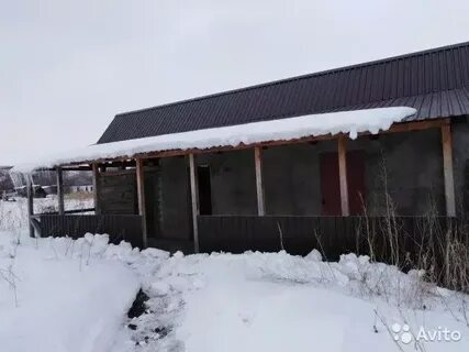 Алтайский красногорский березовка