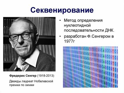 Году он разработал метод