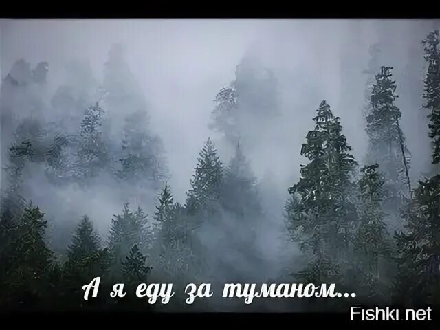 Суббота песня где то за туманами. А Я еду за туманом. А Я еду за туманом и за запахом тайги. За тумана и туман. А Я еду а я еду за туманом.