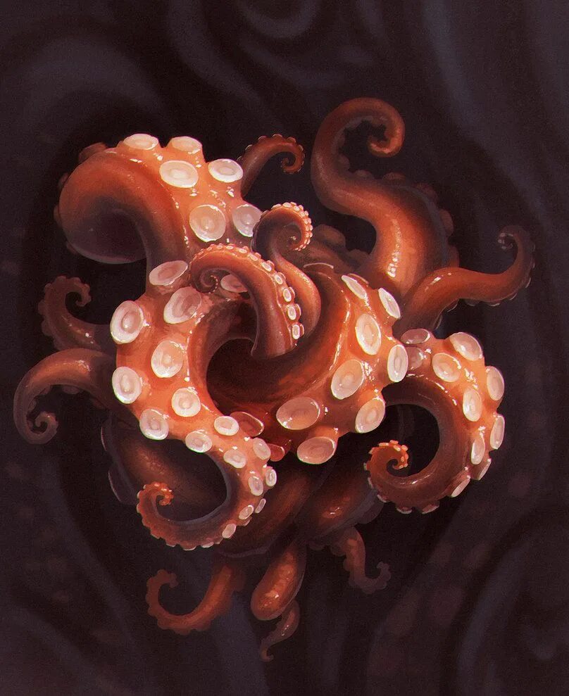 Эбигейл tentacles осьминог. Осьминог арт. Щупальца 2000 Octopus. Щупальца Кракена арт.