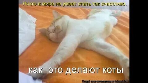 Включи не сон. Включи не сон. Включи не сон. Включи не сон. Включи не сон.