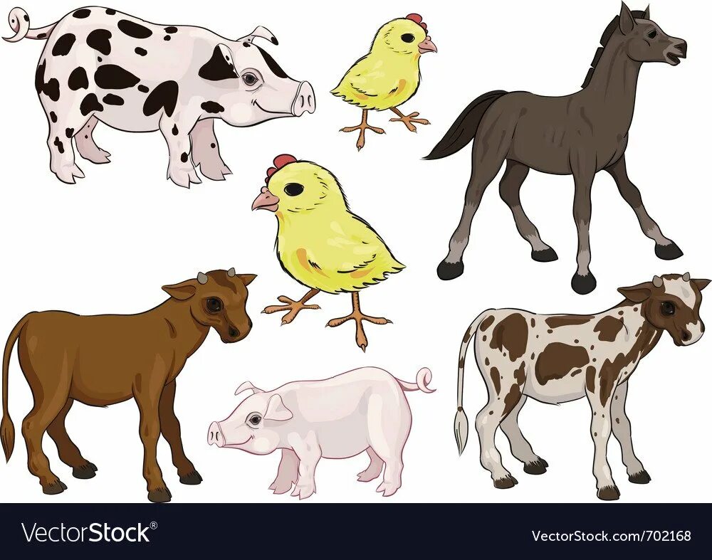 Домашние животные корова лошадь. Домашние животные и Детеныши вектор. Сельскохозяйственные животные на белом фоне. Животные с детенышами вектор. Корова свинья собака кошка