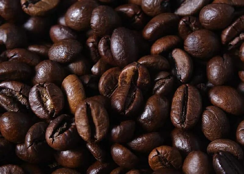 40 робуста. Кофе арабика и робуста. робуста (coffea canephora). зерно арабика и робуста. кофейные зерна арабика и робуста.