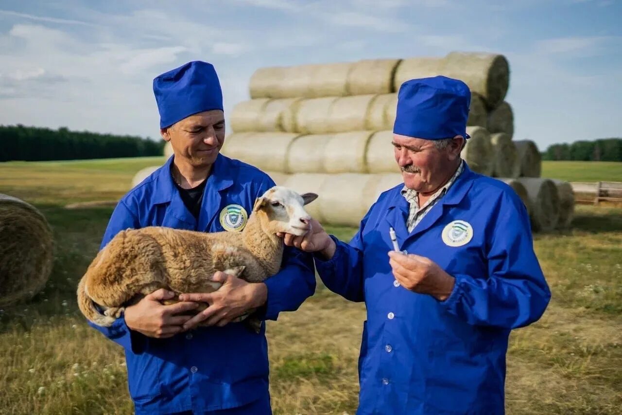 Русские ветеринары. С днем ветеринара. С днем ветеринарного врача. С праздником ветеринара. Православный день ветеринара.