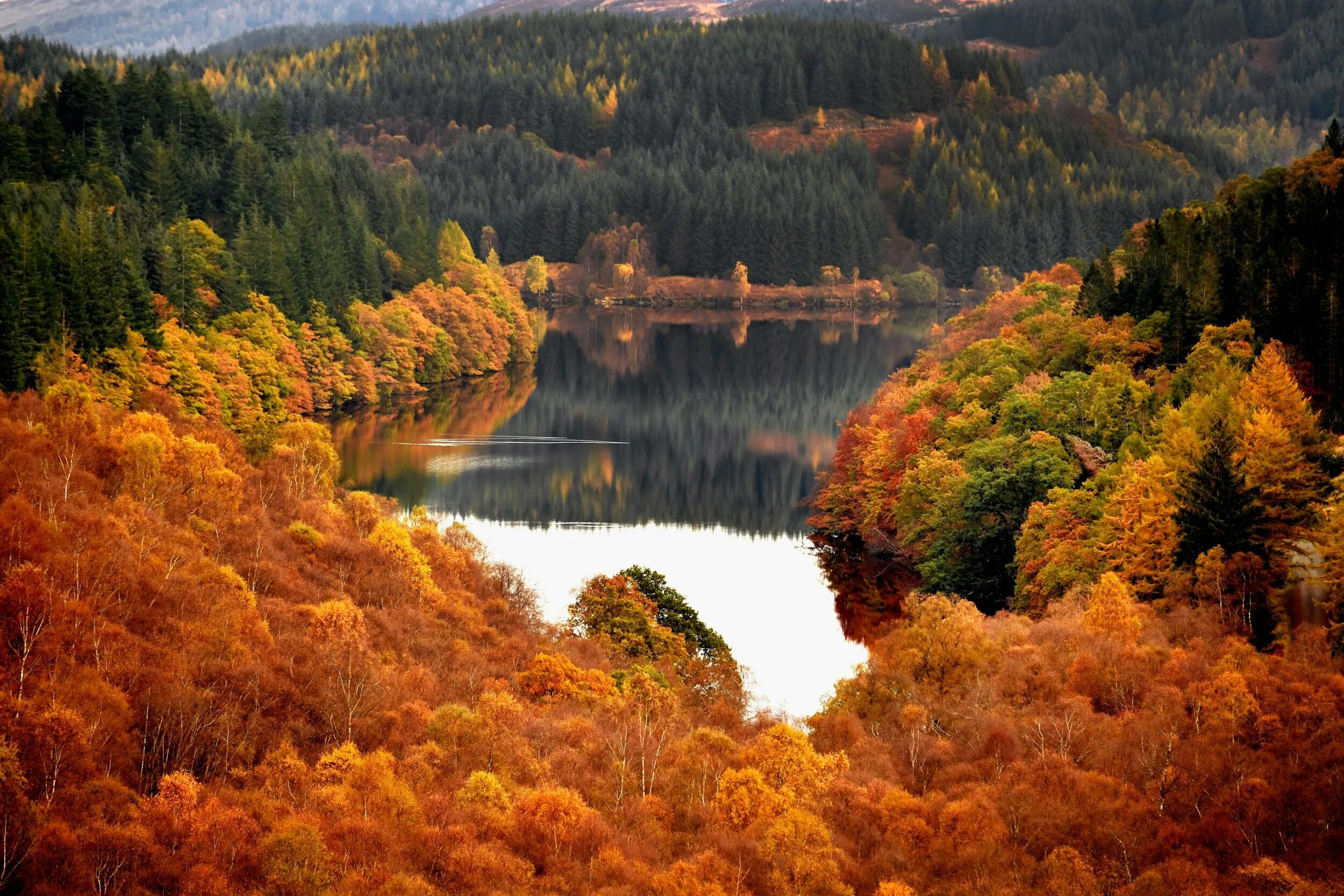 Осень фото красивые. Осенняя природа. Золотая осень. Осенний пейзаж. Природа осенью.