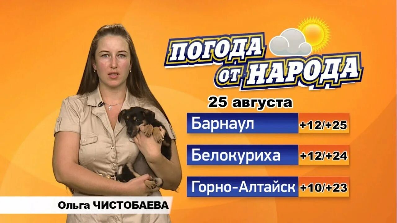 Прогноз погоды бийск по часам. Погода в Бийске. Погода в Бийске на 10 дней. Погода в Бийске на сегодня. Погода в Бийске на 10.